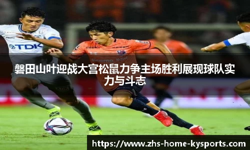 ky体育官网