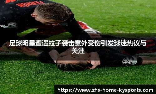 ky体育